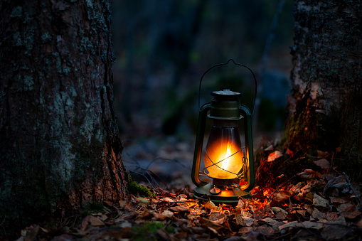 Lantern light in the autumn forest