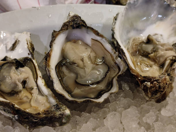 istock fresh homegrown oysters half-open and ready to be enjoyed 1402470578