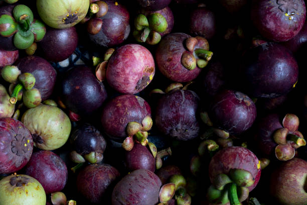 Above view of mangosteen fruit stacked together for sale. stock photo