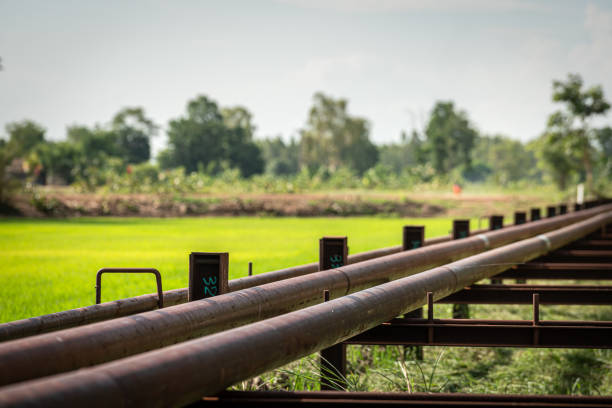 Crude oil transfer pipeline which is locateed in local area. Industrial equipment structure photo. Selective focus at some piping part.