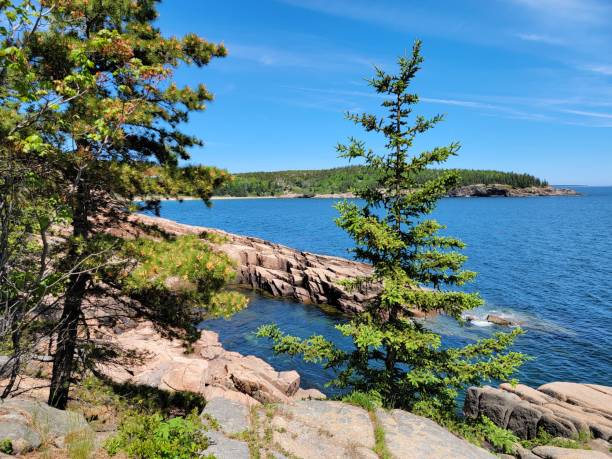 istock rocky shore on coast in Maine with plants and trees 1402479150