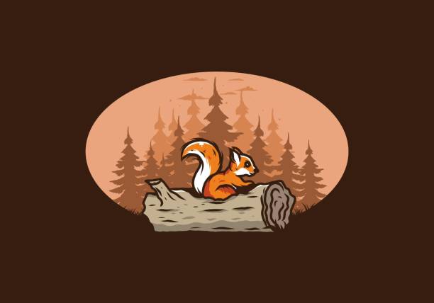 Lonely squirrel hiding in a dead tree trunk illustration Lonely squirrel hiding in a dead tree trunk illustration design hiding behind a tree stock illustrations