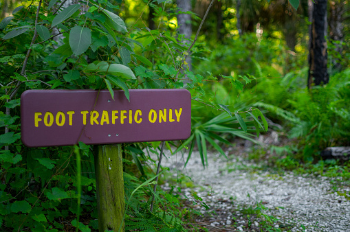 Foot traffic only sign pedestrian walking path in nature, lost adventure into unknown forest