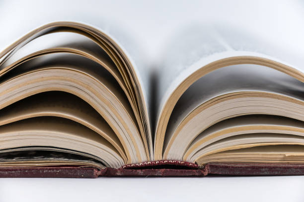 istock Large open book. Encyclopedia in red hardcover. Close-up. Selective Focus. 1402481205