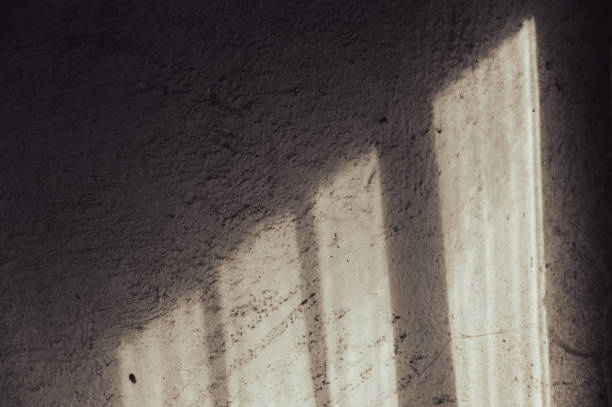 There are shadows and sunlight on the cement wall. Abstract shadows on a dirty dusty wall. Multitasking backgrounds for different design problems.