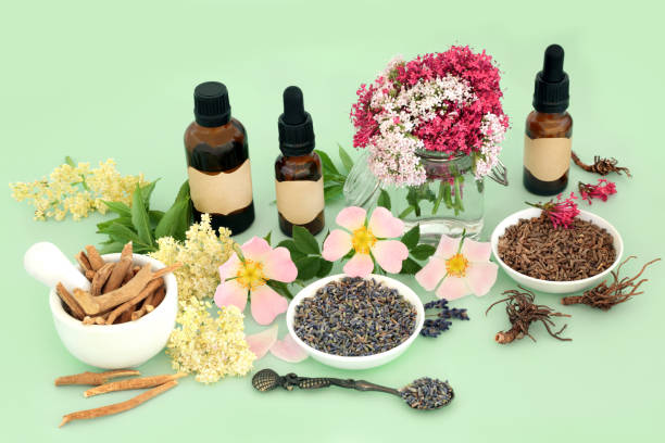 istock Healing Herbs and Flowers for Naturopathic Medicine 1402491165