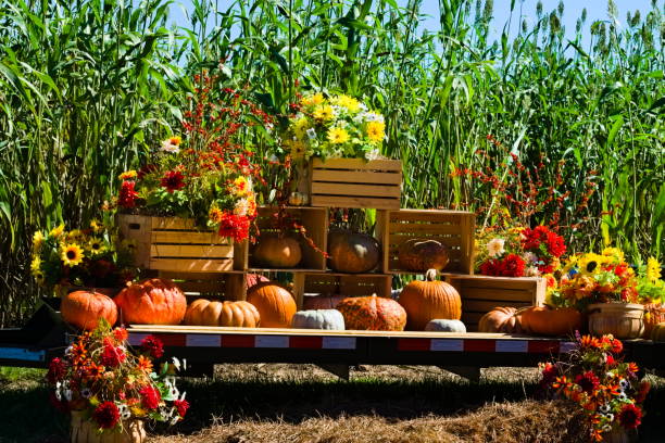istock Autumn Event Decoration with Pumpkins and Flowers 1402495893