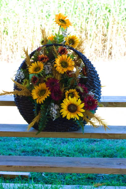 cesta de flores hermosas - hanging flower basket isolated fotografías e imágenes de stock