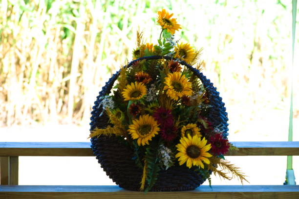 bellissimo fiore cestello - hanging flower basket isolated foto e immagini stock