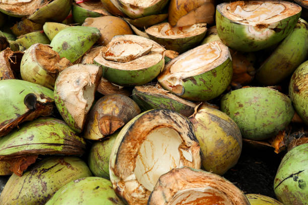 istock green coconut waste that accumulates 1402498410
