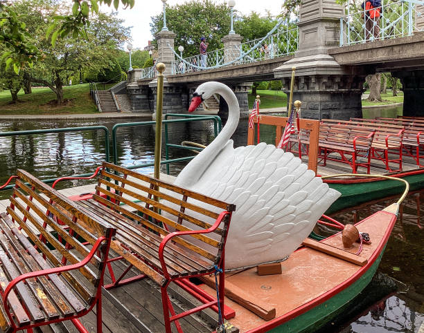 ボストン パ��ブリック ガーデンの白鳥ボート、ボストン、マサチューセッツ州 - boston public garden ストックフォトと画像