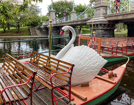 Boston, Massachusetts, USA - May 17, 2022: Swan Boats are ready for passengers on a small pond in the Boston Public Garden during the spring season
