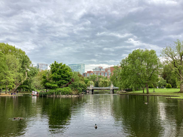 Reflecting Pond in the Boston Public Garden, Boston, Massachusetts stock photo