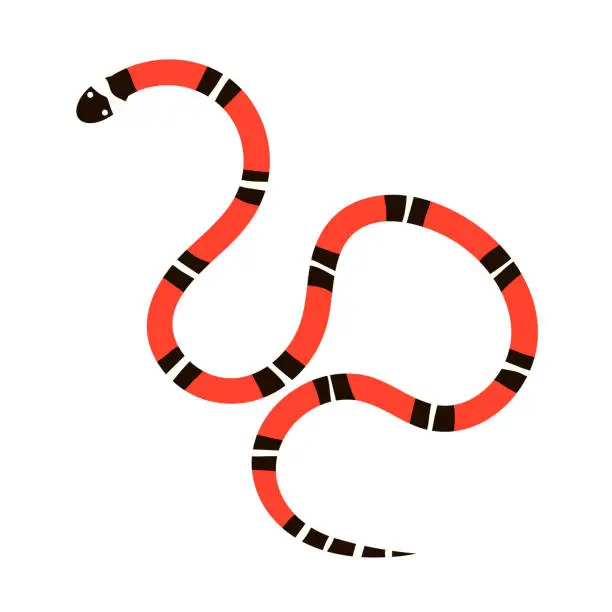 Vector illustration of Poisonous colorful snake asp on a white background