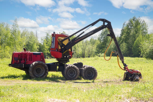 istock Harvester and forwarder at the logging site. 1402502922