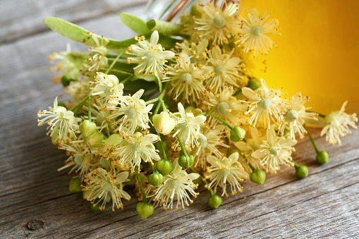 Close up of fresh linden flowers with a jar of spring honey in the background