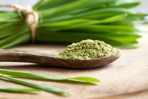 istock Barley grass powder with fresh barley grass blades 1402503905