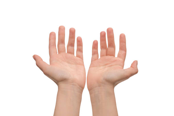 istock Woman hand isolated on a white background. 1402504466