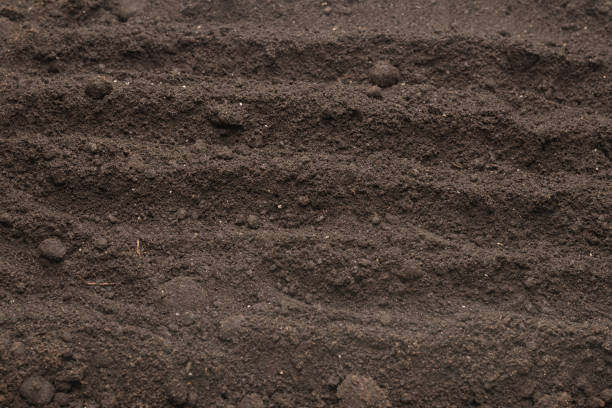 istock Black land for plant background. Top view. 1402504497