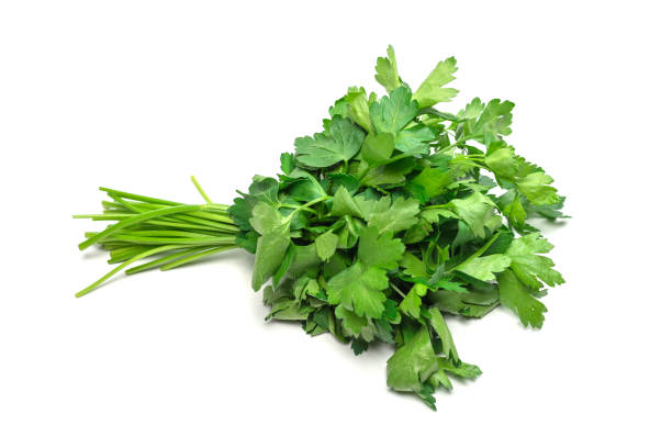 istock A bunch of parsley isolated on white background. 1402504500