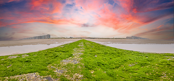 Panoramic image along a breakwater overgrown with green algae on the North Sea beach of the Belgian town of Middlekerke at sunset