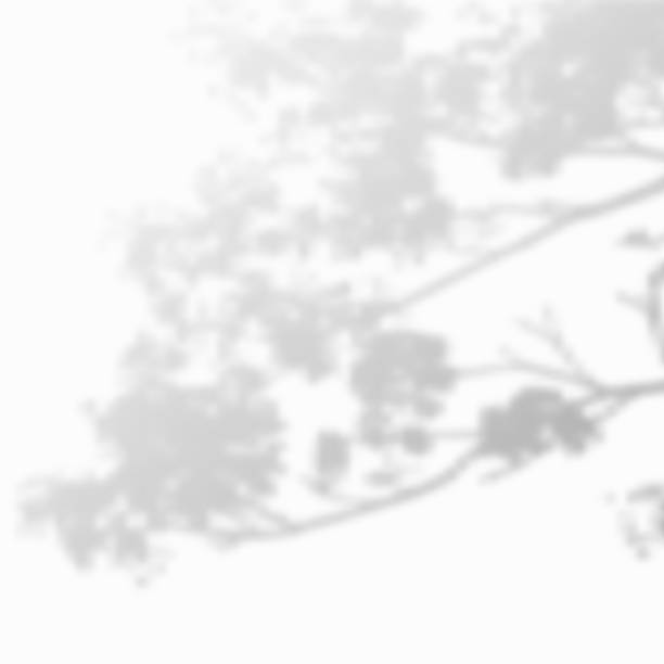 istock Realistic Vector transparent overlay blured shadow of branch leaves 1402515703