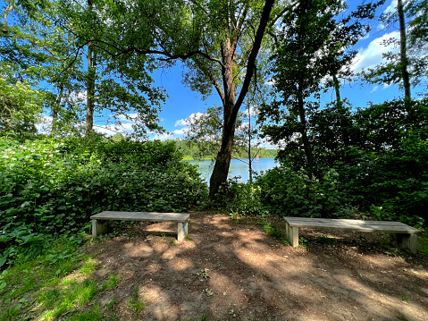 Two benches on a path next to a lake in summer.
