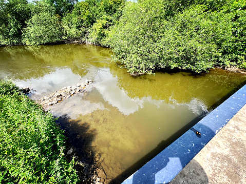 View over the railing to a small river with muddy water and many trees in summer.