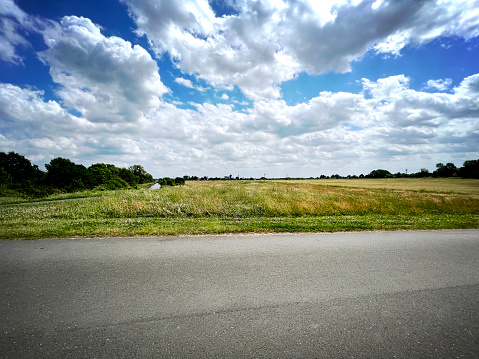 View of a field with a road in summer.