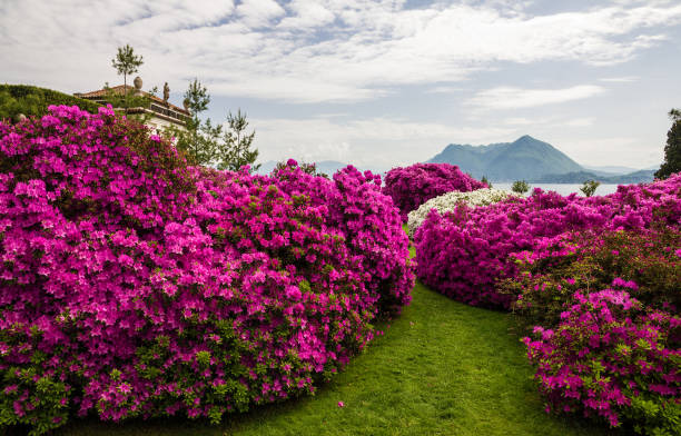 istock Stresa embankment, Lombardy, Italy 1402520572