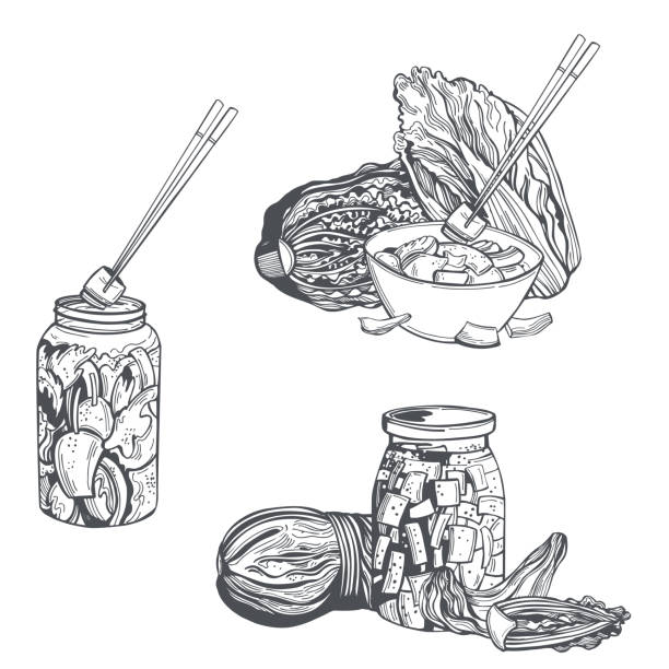 Kimchi. Korean cuisine. Sketch illustration. Hand-drawn kimchi  fermented chinese cabbage. Korean cuisine. Vector sketch illustration. Kimchi stock illustrations