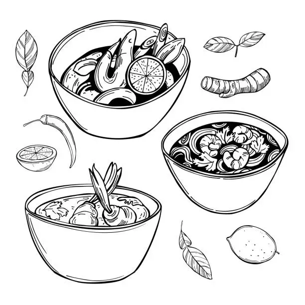 Vector illustration of Tom yam soup. Sketch  illustration.