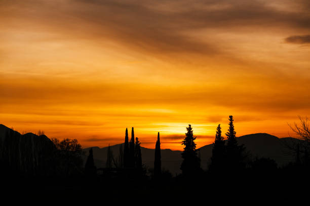 istock Sunset with rows of trees and mountain view 1402523646
