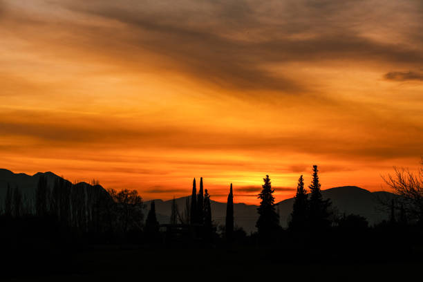 istock Sunset with rows of trees and mountain view 1402523872