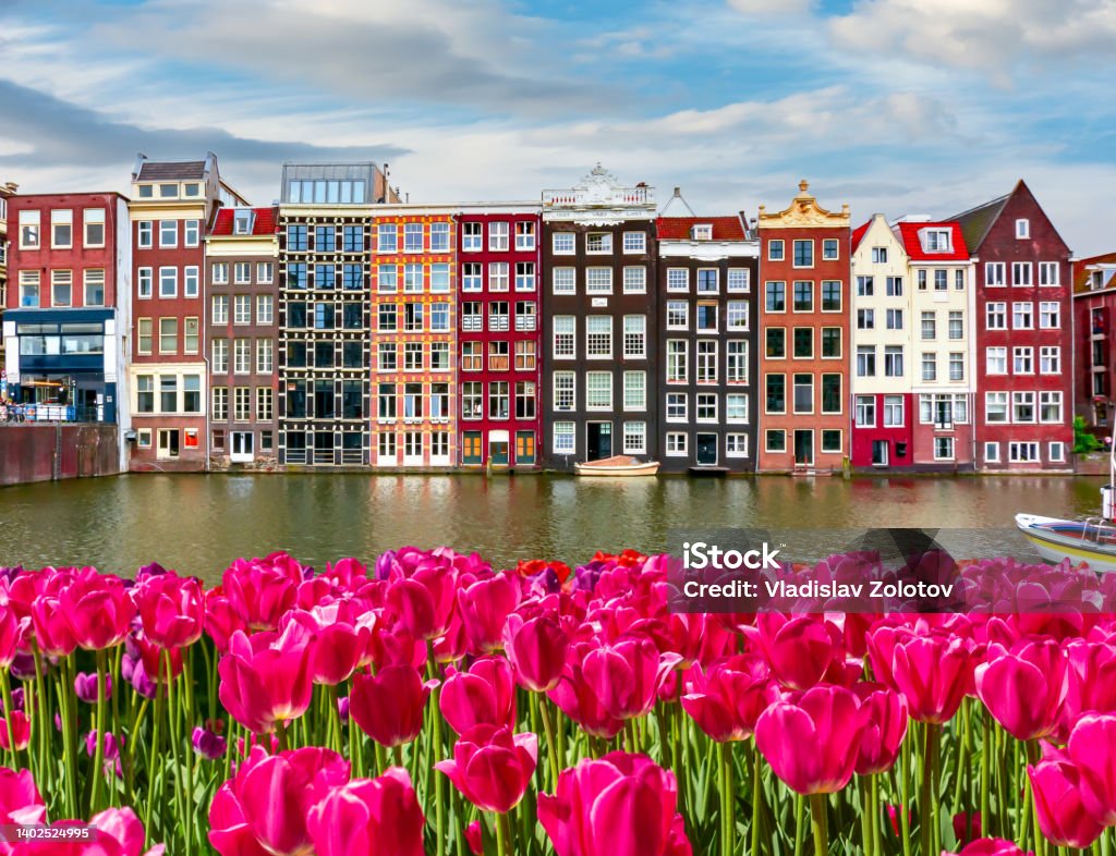 Traditional Amsterdam architecture and spring tulips on Damrak canal, Netherlands Amsterdam Stock Photo