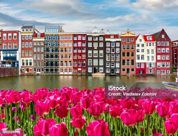 Traditional Amsterdam Architecture And Spring Tulips On Damrak Canal Netherlands Stock Photo - Download Image Now