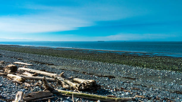 istock Sunny afternoon at Whidbey Island Beach, Washington 1402525677