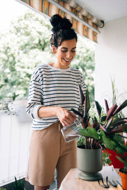 istock Woman Watering Her Houseplants 1402529034
