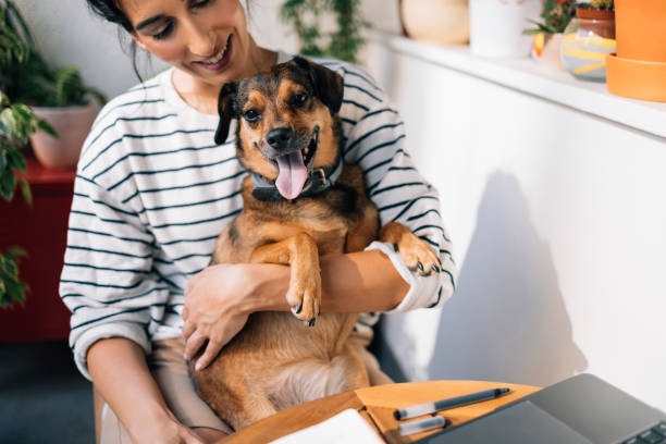 istock Woman Holding Her Dog 1402529053