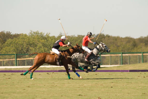 Polo Match stock photo