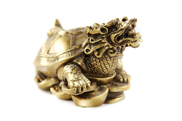 The Golden Dragon Headed Money Turtle