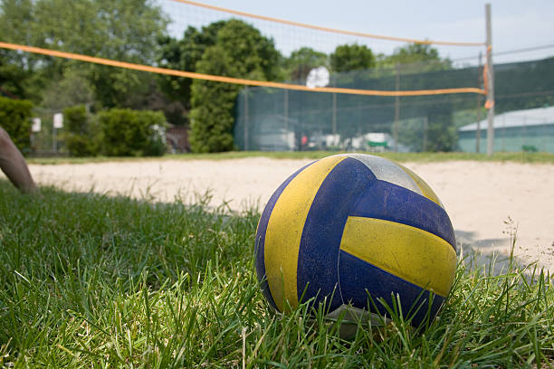 istock sport volleyball on grass 140253048