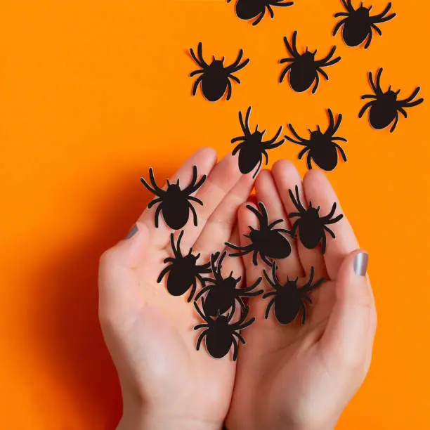 Female hands let go paper spiders. Paper art and paper craft. Festive Halloween concept