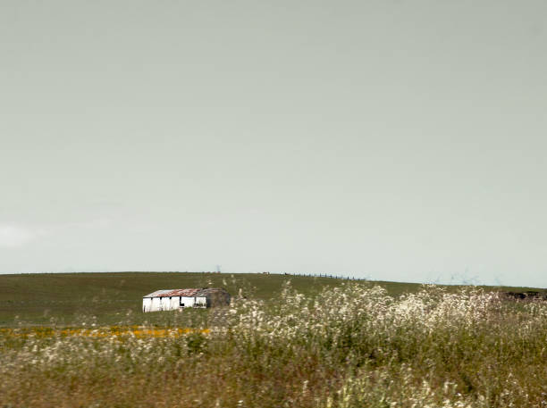 Mission peak mountain in Spring - California
