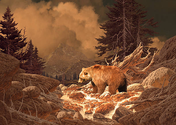Grizzly Bear in the Rocky Mountains stock photo