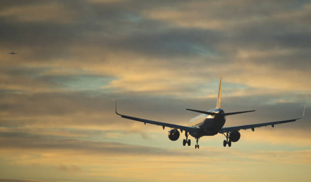 istock The plane is landing 1402538249