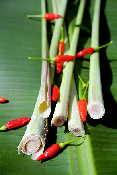 Lemon Grass and Chili stock photo