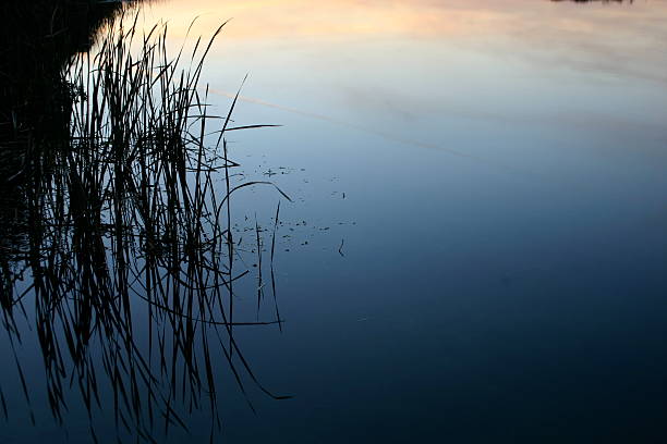 lake sunset stock photo