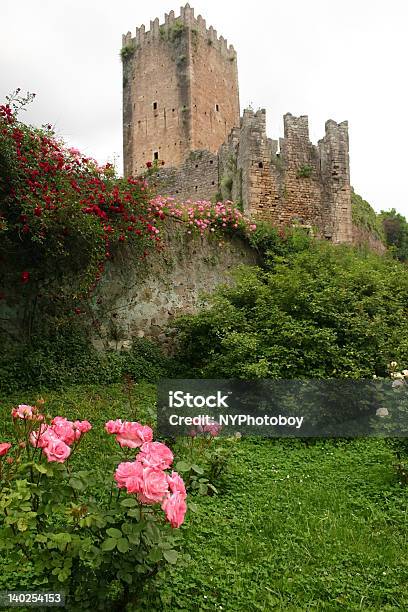 城遺跡で Ninfa 庭園の近くローマイタリア - ニンファ庭園のストックフォトや画像を多数ご用意 - ニンファ庭園, イタリア ローマ, 植物 バラ