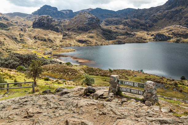 parc national de cajas, lac de montagne toreadora. - grass area hill nature hiking photos et images de collection